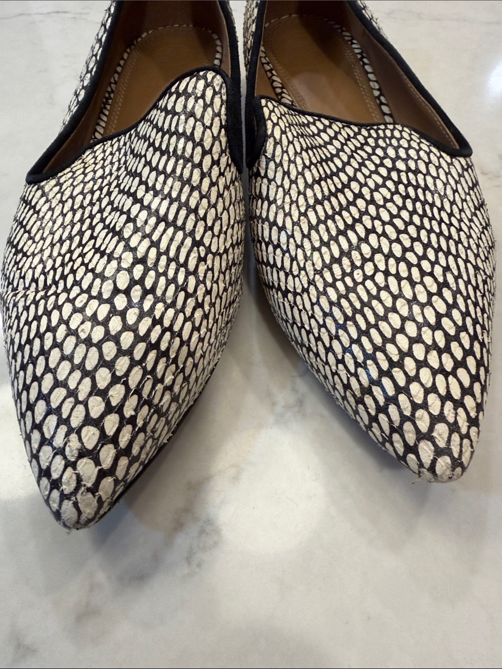 Tory Burch Pascal Pointy Toe Loafer in King Cobra Size 9 - Picture 9 of 9